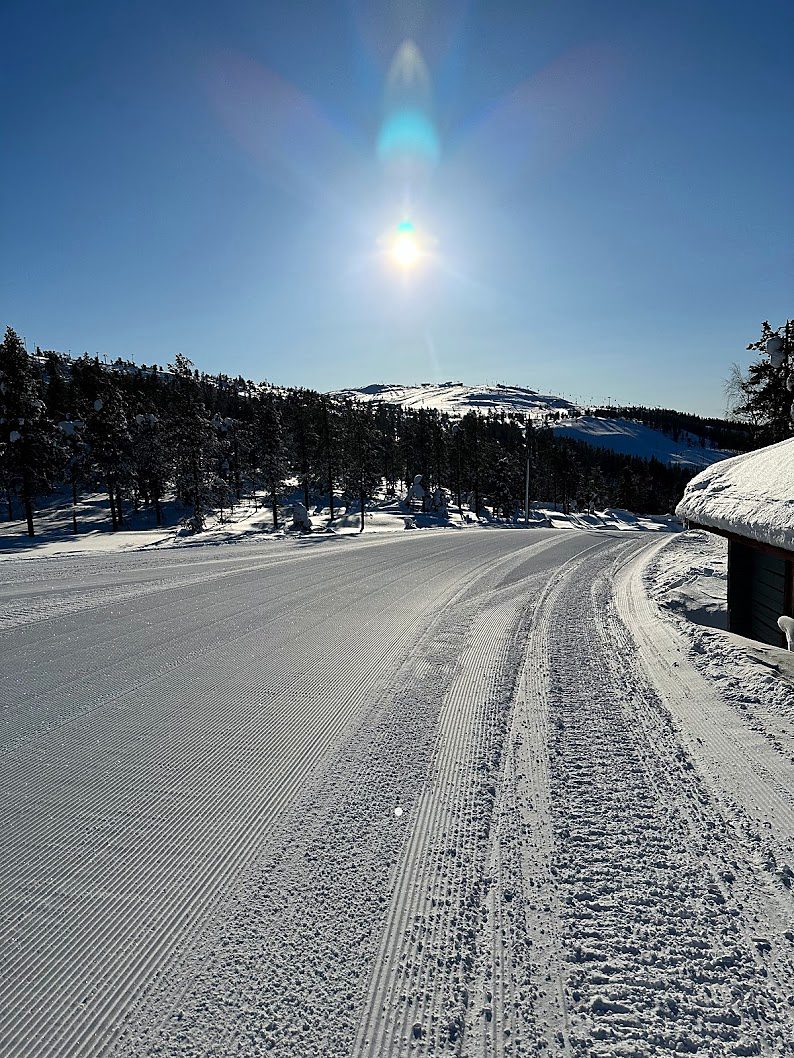 Tracks from the door