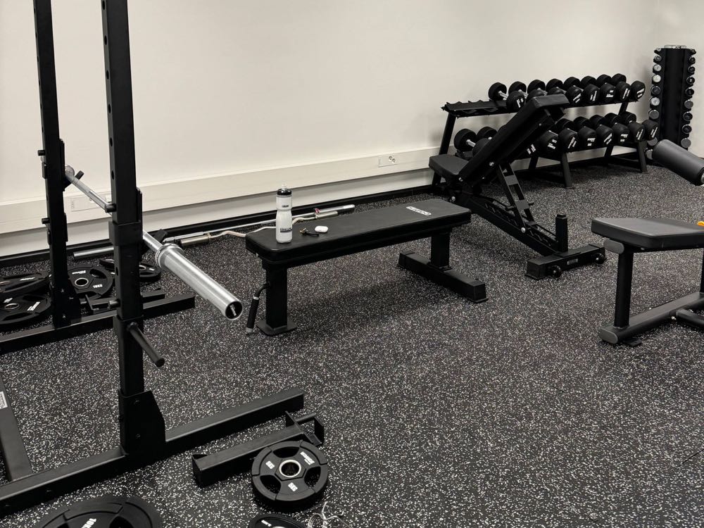 A power rack with a barbell and plates, a flat and an adjustable bench, and dumbbells on a rack